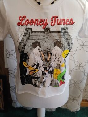 Looney Tunes Crop Top